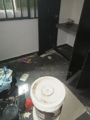 Professional Post Construction Cleaning Services