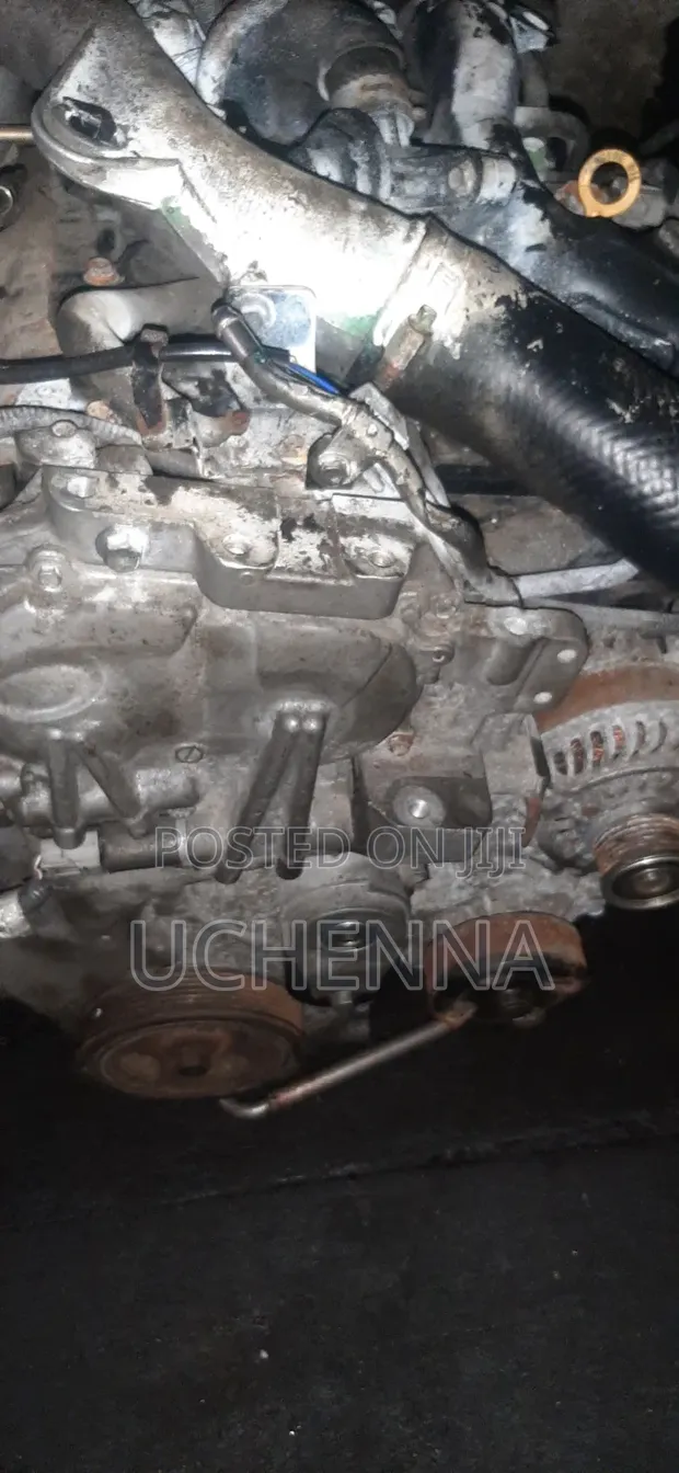 Nissan Juke 4-Cylinder Engine (2008 Model) - 1