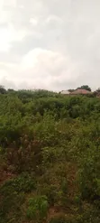 Filin Dadi a Jami'ar Kogi, Kabba - 2