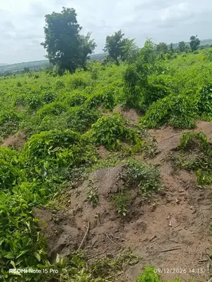 Acre 500 Mai Kyau na Gona don Siyarwa a Itesiwaju, Jihar Oyo