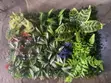 Better Homes & Gardens Wall Mats - 2