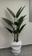 Decorative Flower Pot - Brand New - 5