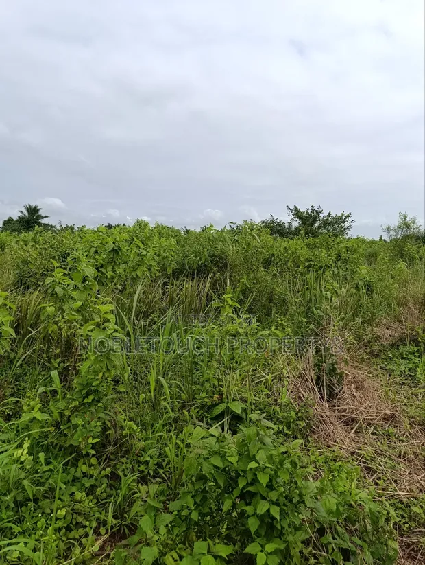 Industrial Farmland for Sale at Awowo, Ogun State - 1