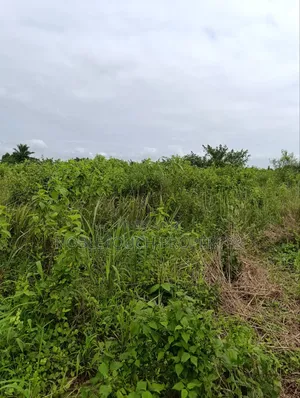 Filin Noma na Masana'antu don Siyarwa a Awowo, Jihar Ogun