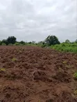 Industrial Farmland for Sale at Awowo, Ogun State - 2