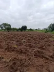 Industrial Farmland for Sale at Awowo, Ogun State - 4