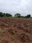 Industrial Farmland for Sale at Awowo, Ogun State - 5