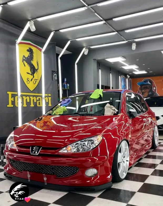 Car Detailing Hub: Professional Car Detailing & Wrapping - 1