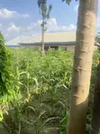 Filin Zama na Zama don Siyarwa, Arab Road, Kubwa Abuja - 1