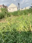Filin Zama na Zama don Siyarwa, Arab Road, Kubwa Abuja - 2