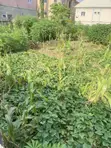 Filin Zama na Zama don Siyarwa, Arab Road, Kubwa Abuja - 4