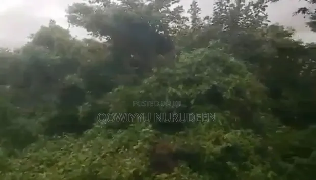 Filin Sayarwa a Ajia, Ibadan - 1