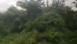 Filin Sayarwa a Ajia, Ibadan - 1