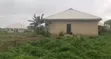 Filin Sayarwa a Ajia, Ibadan - 2