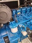 22 kVA FG Wilson Jan Kunne Mai Jinƙai - 5