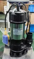 1Hp Sewage and Fountain Pump - 2