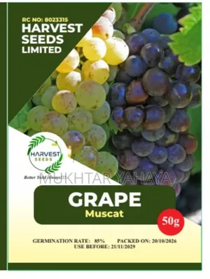 Grape Seeds - Muscat Tropical Variety