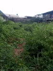 Mixed-use Land for Sale - Benin City - 2
