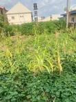 800sqm Residential Land for Sale in Kubwa, Arab Road - 2