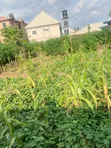800sqm Residential Land for Sale in Kubwa, Arab Road - 3
