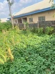 800sqm Residential Land for Sale in Kubwa, Arab Road - 4