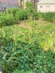 800sqm Residential Land for Sale in Kubwa, Arab Road - 5