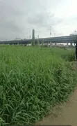 Acre 10 na fili mai amfani iri-iri don siyarwa a Ogudu, Lagos - 2