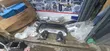 Cikakken Kit Toyota Hilux 2015 Gyara zuwa 2022 Iron Bumper Stainless - 5