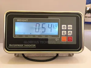 Waterproof Scale Indicator for Gas Plants
