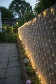 Perkins LED Christmas Lights - 3