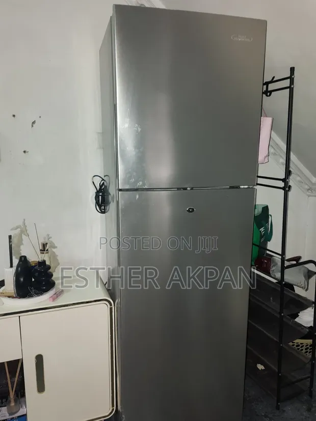 Thermocool Firij Mai Ƙofa Biyu HRF 355 Blux - 1