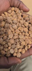 Clean Tiger Nuts (Aya) from Niger - 2