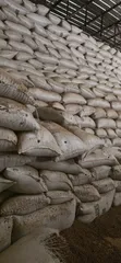 Clean Tiger Nuts (Aya) from Niger - 3