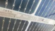 450 Watts Solar Panels (Used) - 4
