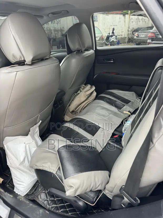Lexus RX 2010 Gray - 1