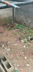 16,000sqm Warehouse Facing Ikorodu Road, Ojota - 4