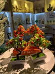 Orange Flower Decorative Bonsai - 2