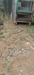 Filin Ikoyi Mai Kyau Don Siyarwa - Girma Daban-daban - 1