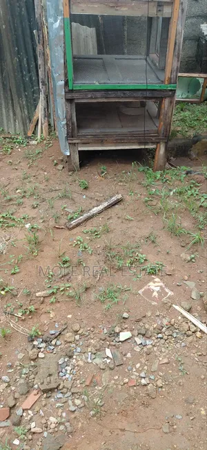 Prime Ikoyi Plots for Sale - Various Sizes