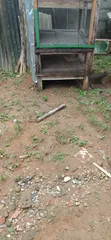 Filin Ikoyi Mai Kyau Don Siyarwa - Girma Daban-daban - 2