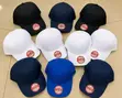 Premium Classic Baseball Cap - 2