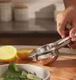 Stainless Steel Manual Lemon Juicer - 2