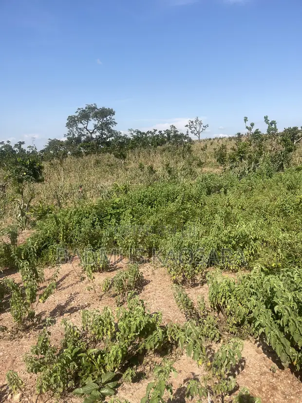 Spacious 500SQM Residential Land for Sale in Guzape District, Abuja - 1