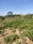 Spacious 500SQM Residential Land for Sale in Guzape District, Abuja - 1