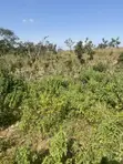 Spacious 500SQM Residential Land for Sale in Guzape District, Abuja - 2