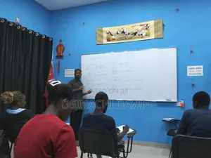 Chinese Language Teacher - Online