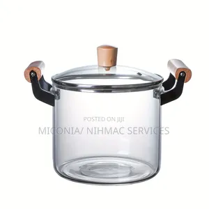 Heat Resistant Borosilicate Glass Pot with Lid (4.5L)