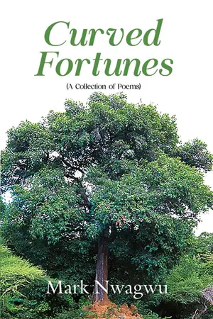 Curved Fortunes: Tarin Wakoki