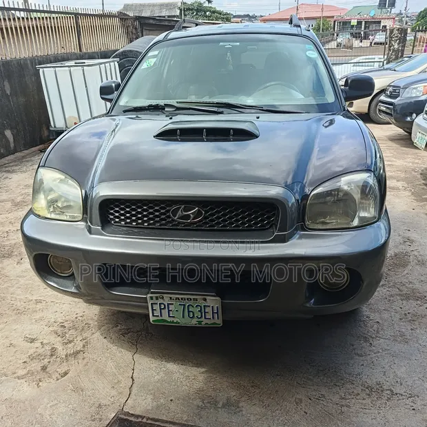 Hyundai Santa Fe GLS 3.5L 2004 Black - 1