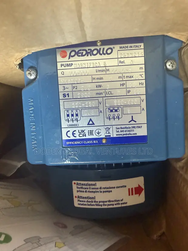 3hp Pedrollo Swimming Pool Pump - 1